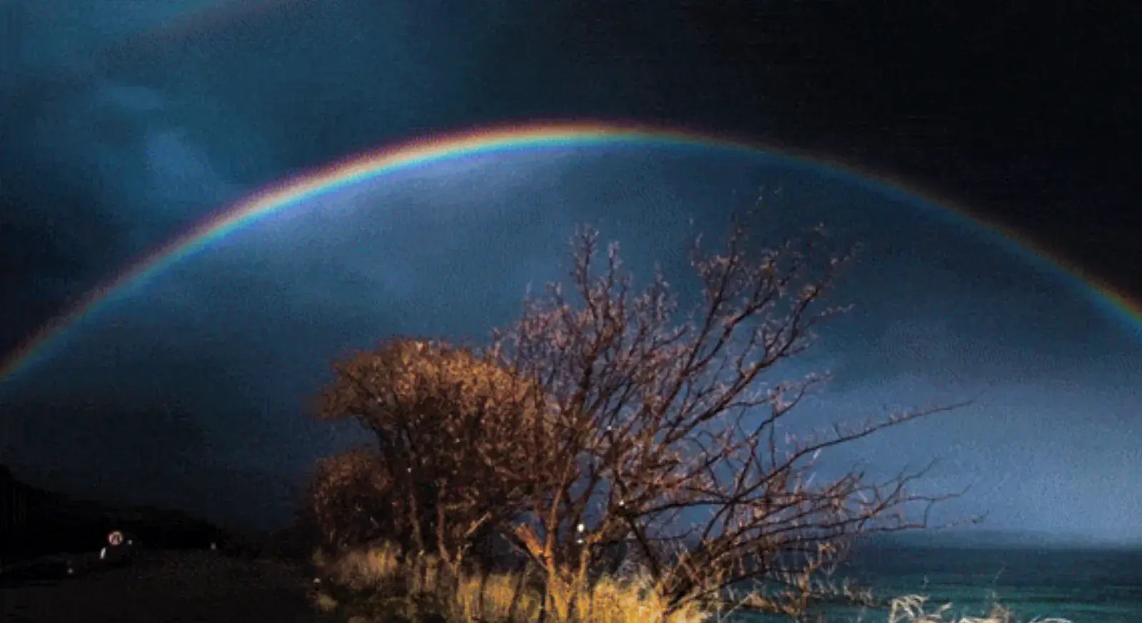 A screenshot from Veritasium video