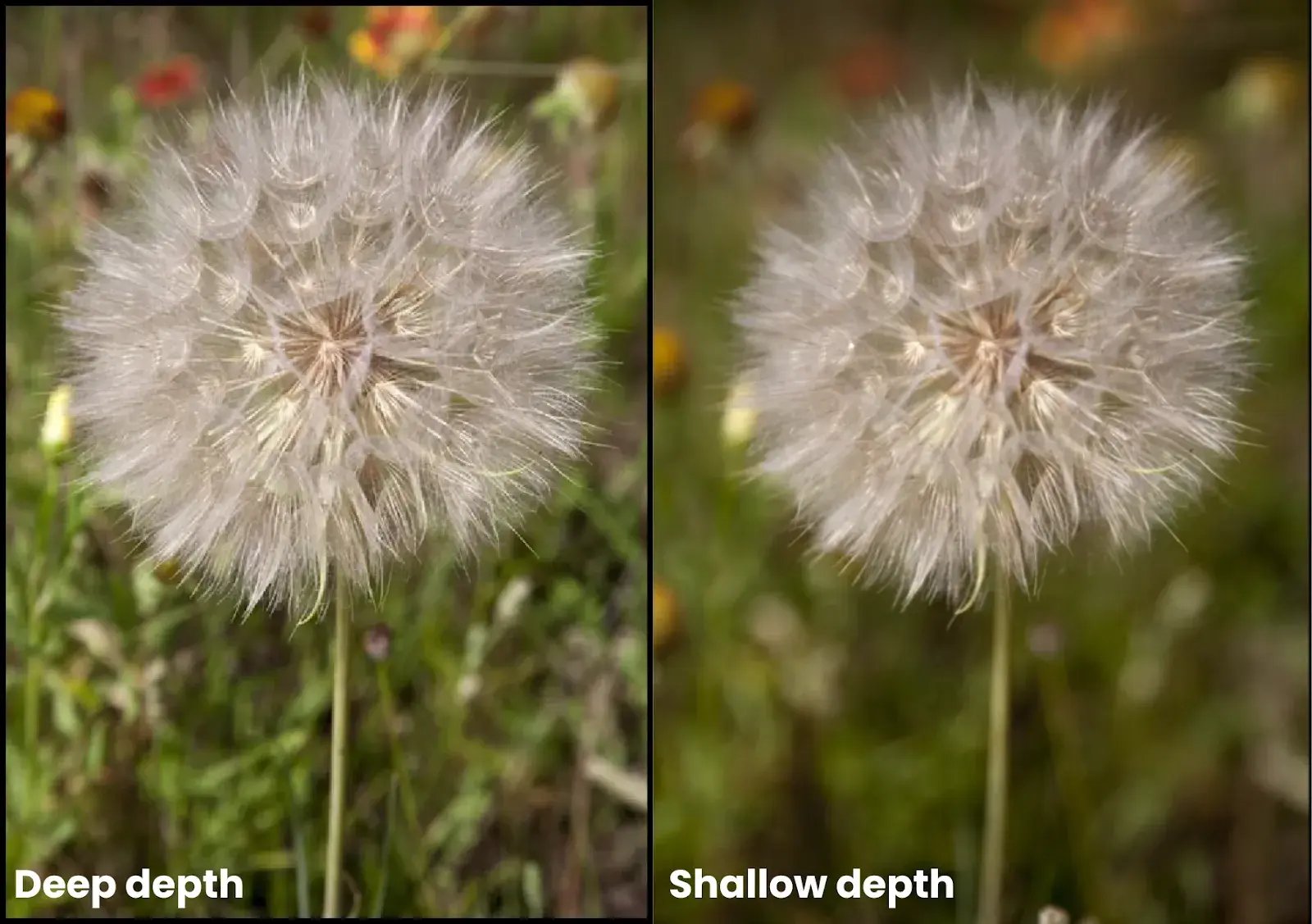 Deep depth
