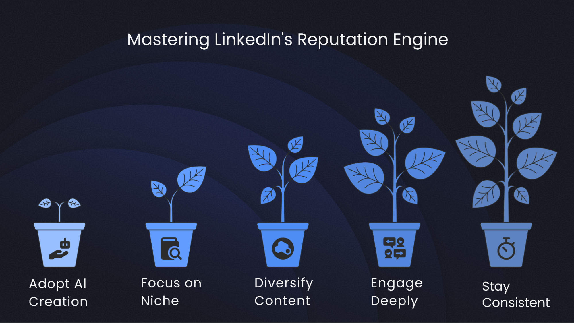 2026 Creator's playbook