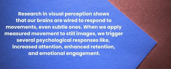 Research statement in visual perception