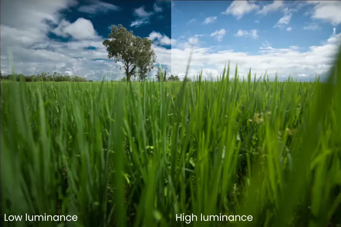Split image comparison