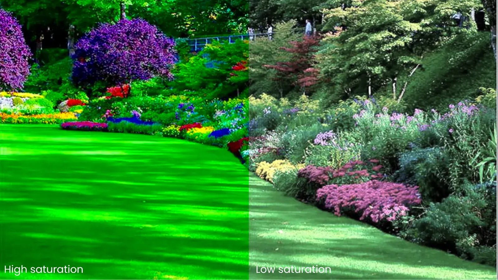 Split image comparison